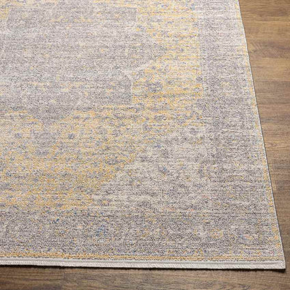 Neo Traditional Gray Area Rug