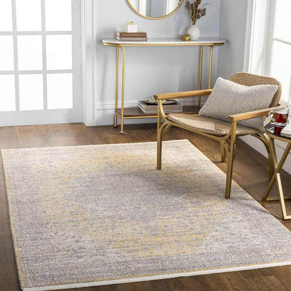 Neo Traditional Gray Area Rug