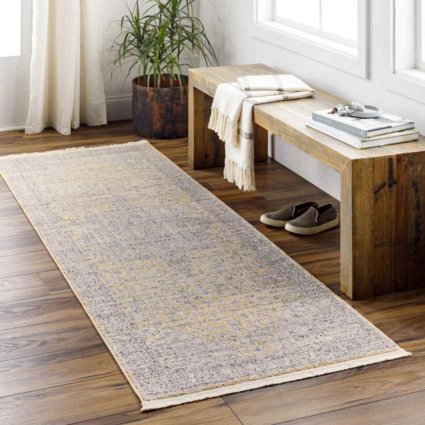Neo Traditional Gray Area Rug