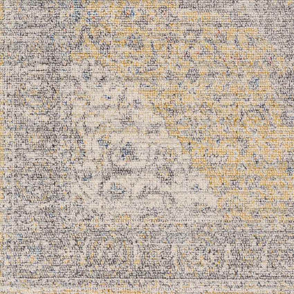 Neo Traditional Gray Area Rug