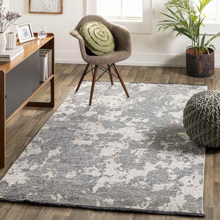 Bode Modern Gray Area Rug