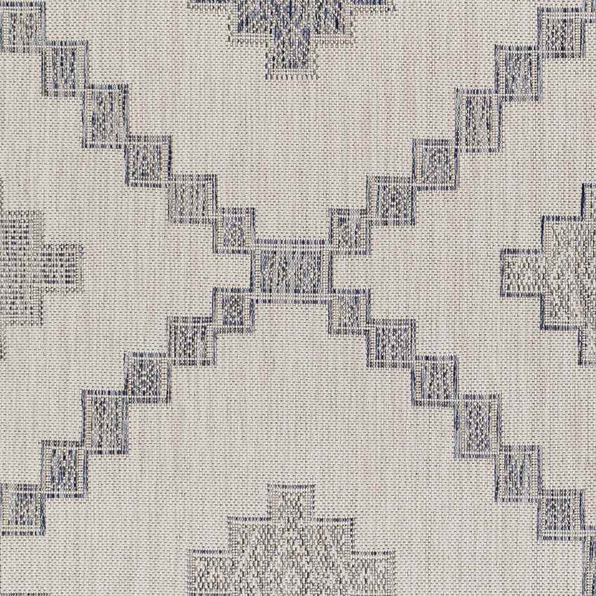 Kanawha Rustic Navy Area Rug