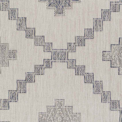 Kanawha Rustic Navy Area Rug