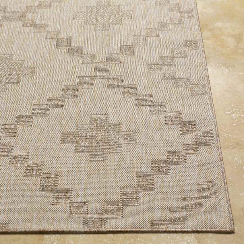 Kanawha Rustic Beige Area Rug