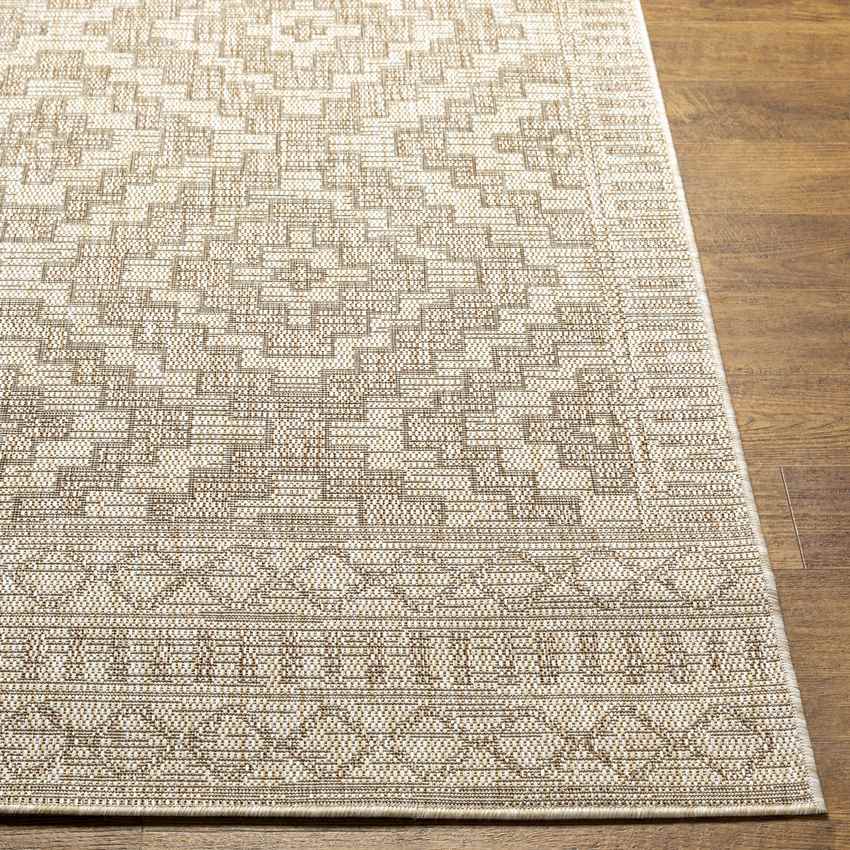 Kirkman Global Brown Area Rug