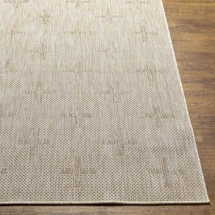Kiron Global Brown Area Rug