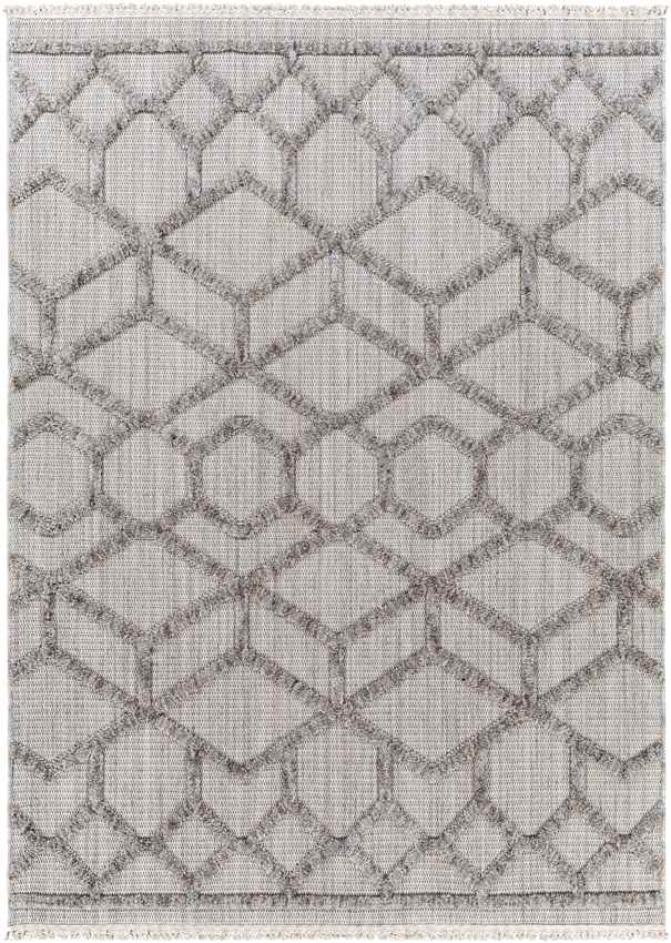 Le Mars Modern Gray Area Rug