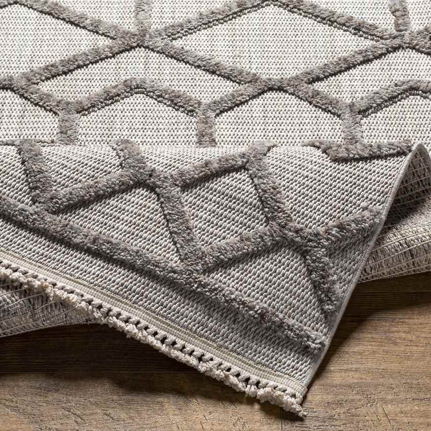 Le Mars Modern Gray Area Rug