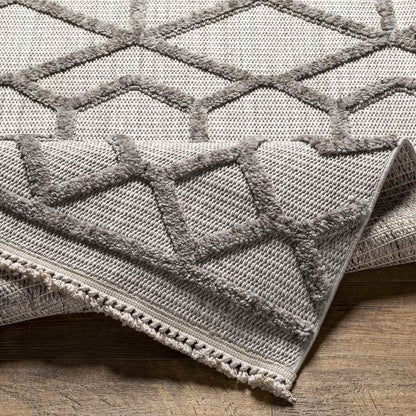 Le Mars Modern Gray Area Rug