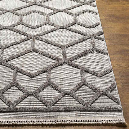 Le Mars Modern Gray Area Rug