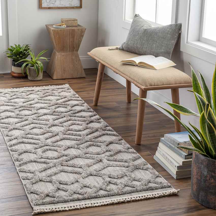 Le Mars Modern Gray Area Rug
