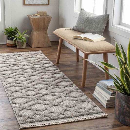 Le Mars Modern Gray Area Rug