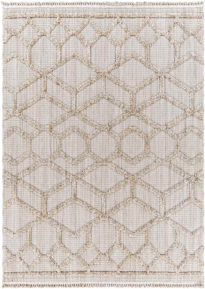 Le Mars Modern Beige Area Rug