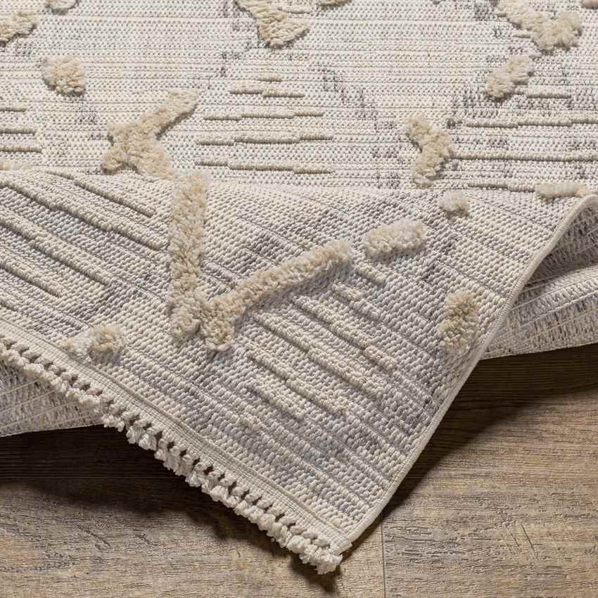 Linn Grove Global Ivory Area Rug