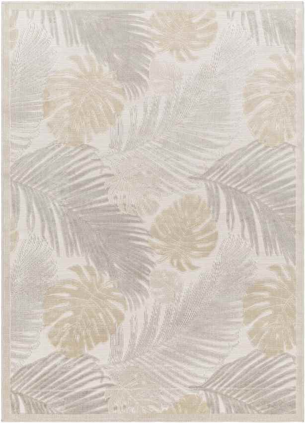 Esbon Coastal Light Gray Area Rug