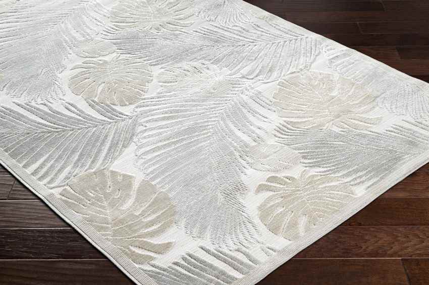 Esbon Coastal Light Gray Area Rug