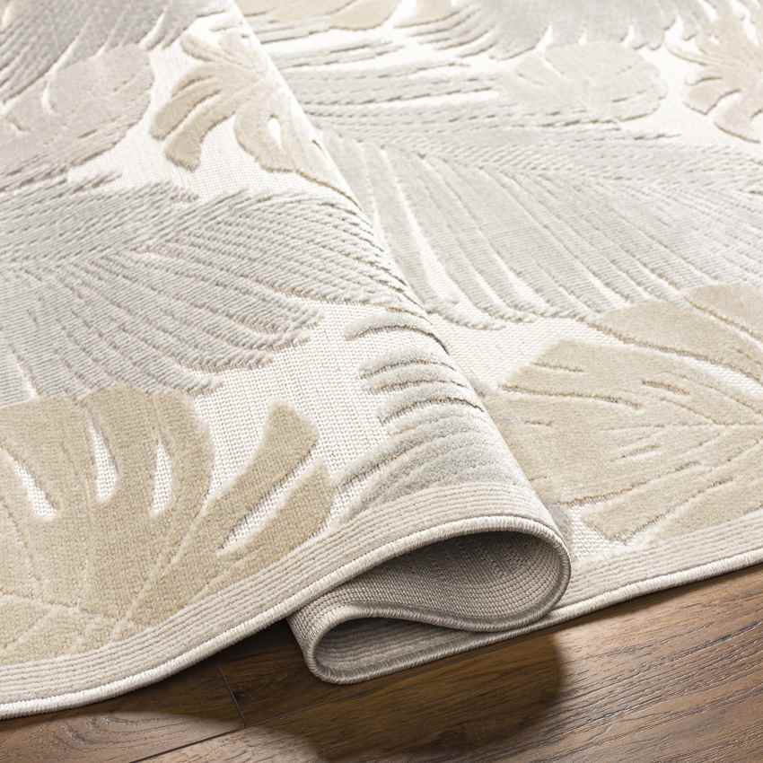Esbon Coastal Light Gray Area Rug