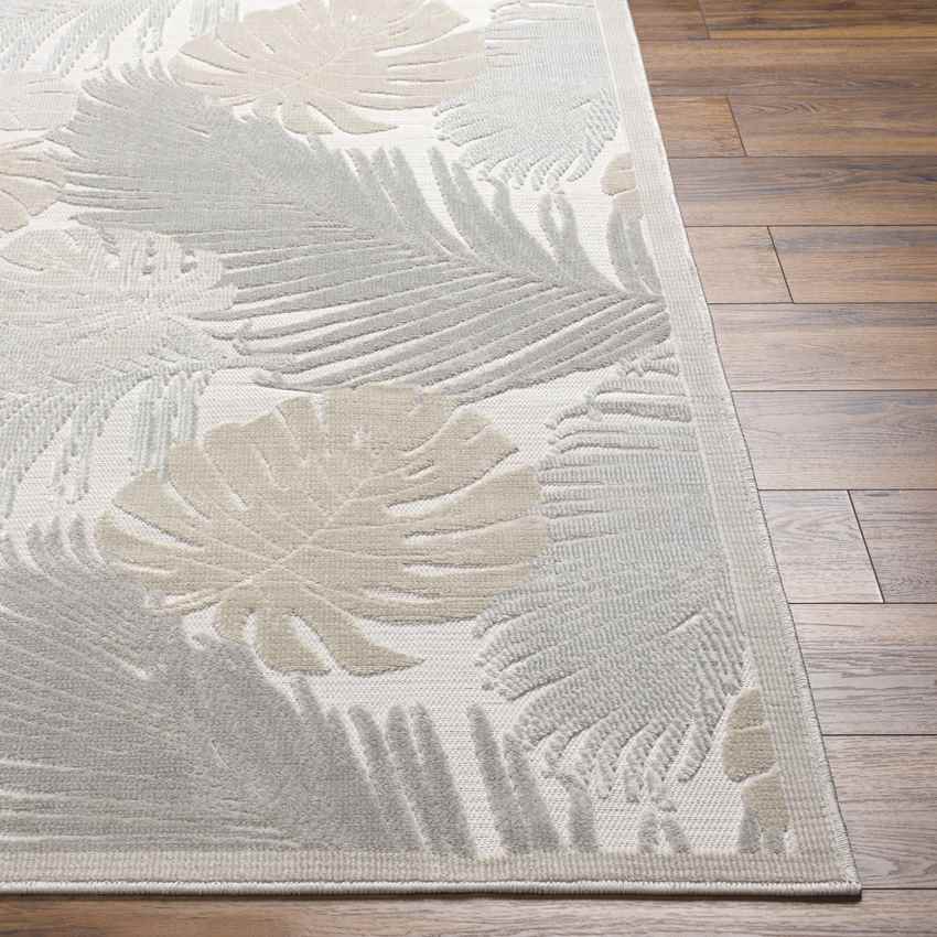 Esbon Coastal Light Gray Area Rug