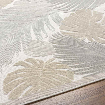 Esbon Coastal Light Gray Area Rug