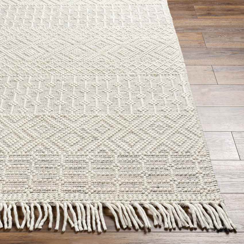 Gratz Global Light Taupe Area Rug