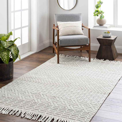 Gratz Global Light Taupe Area Rug