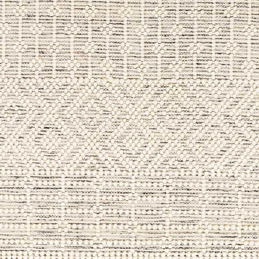 Gratz Global Light Taupe Area Rug