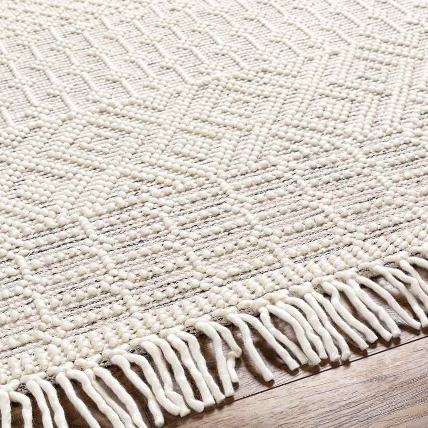 Gratz Global Light Taupe Area Rug