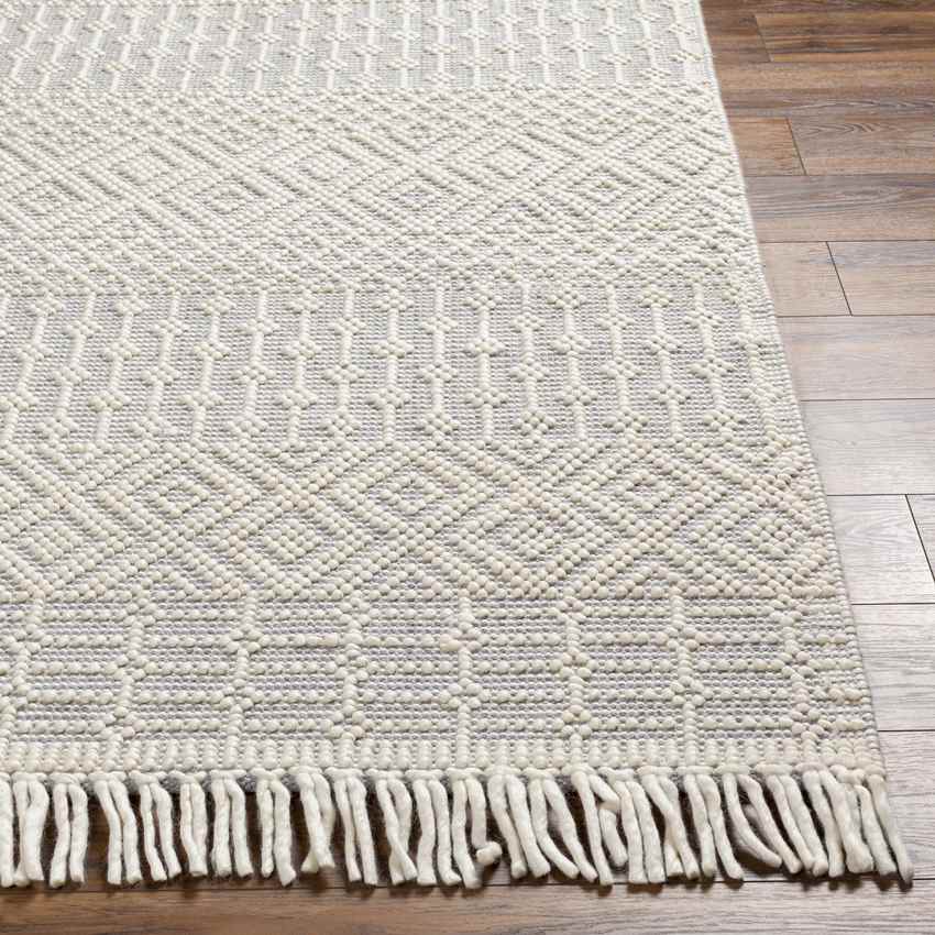 Gratz Global Light Gray Area Rug