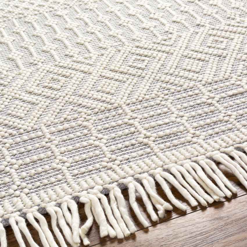 Gratz Global Light Gray Area Rug