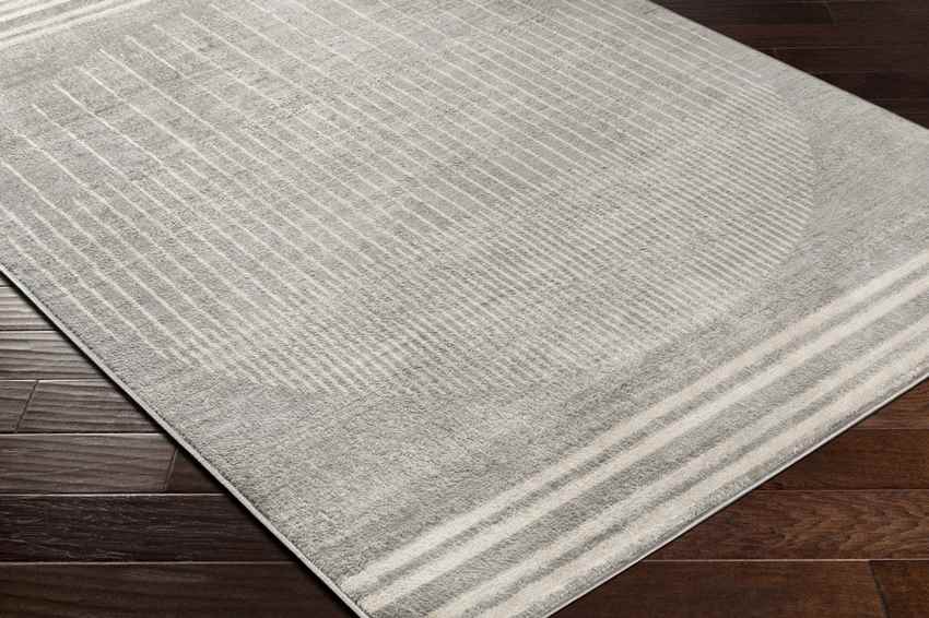 Neerbosch Modern Medium Gray Area Rug