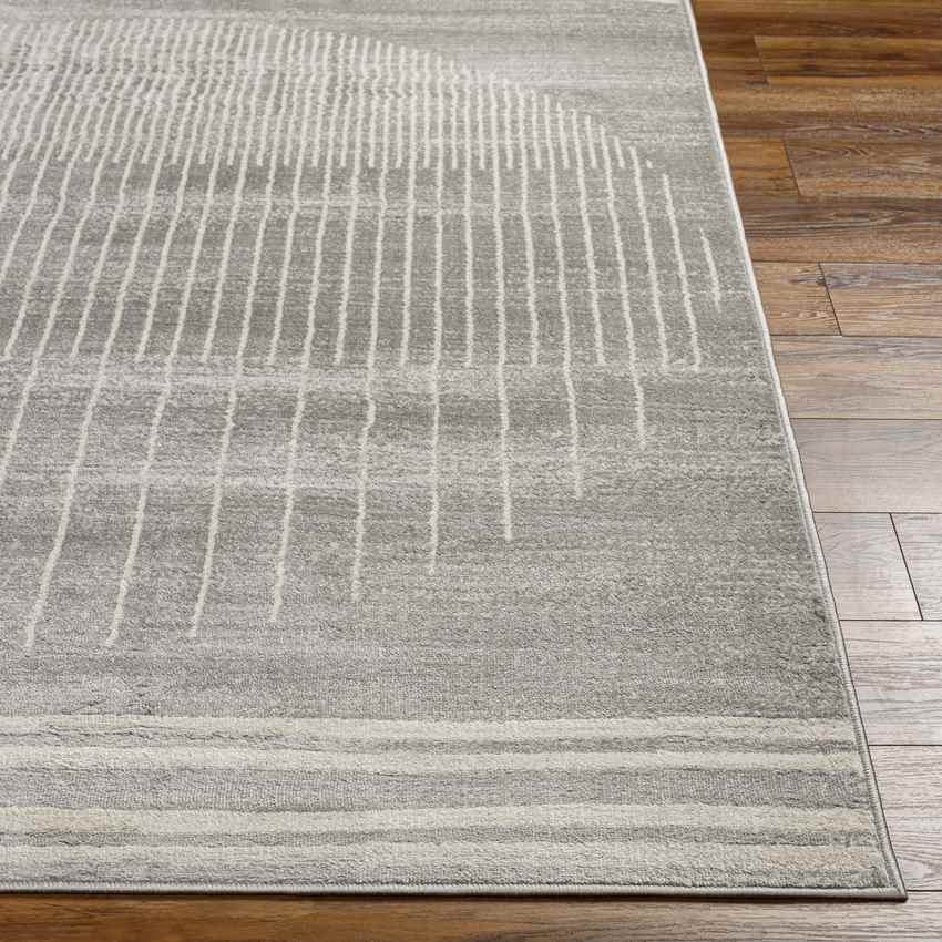 Neerbosch Modern Medium Gray Area Rug