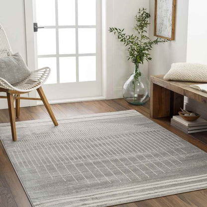 Neerbosch Modern Medium Gray Area Rug