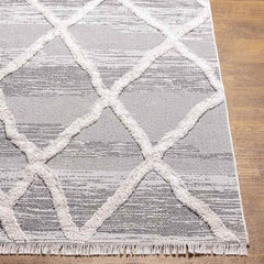 Oketo Global Light Gray Area Rug