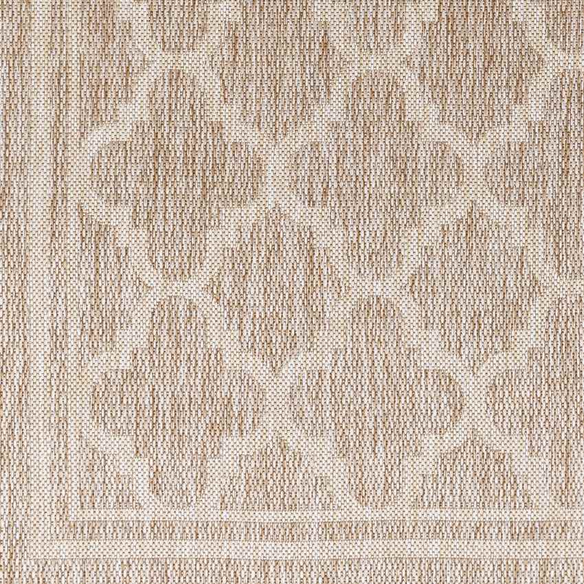 Agenda Traditional Brown Area Rug