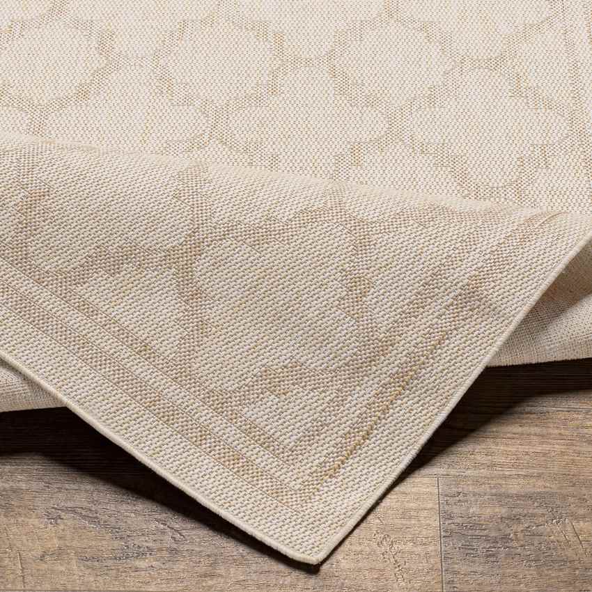 Agenda Traditional Beige Area Rug