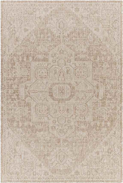 Alvord Traditional Brown Area Rug