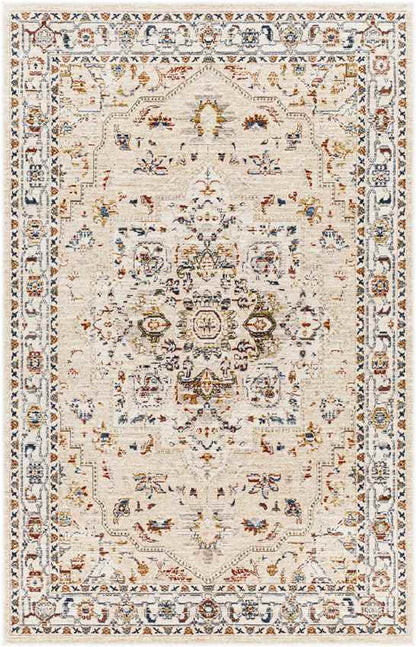 Asbury Traditional Light Orange Area Rug