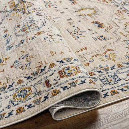 Asbury Traditional Light Orange Area Rug