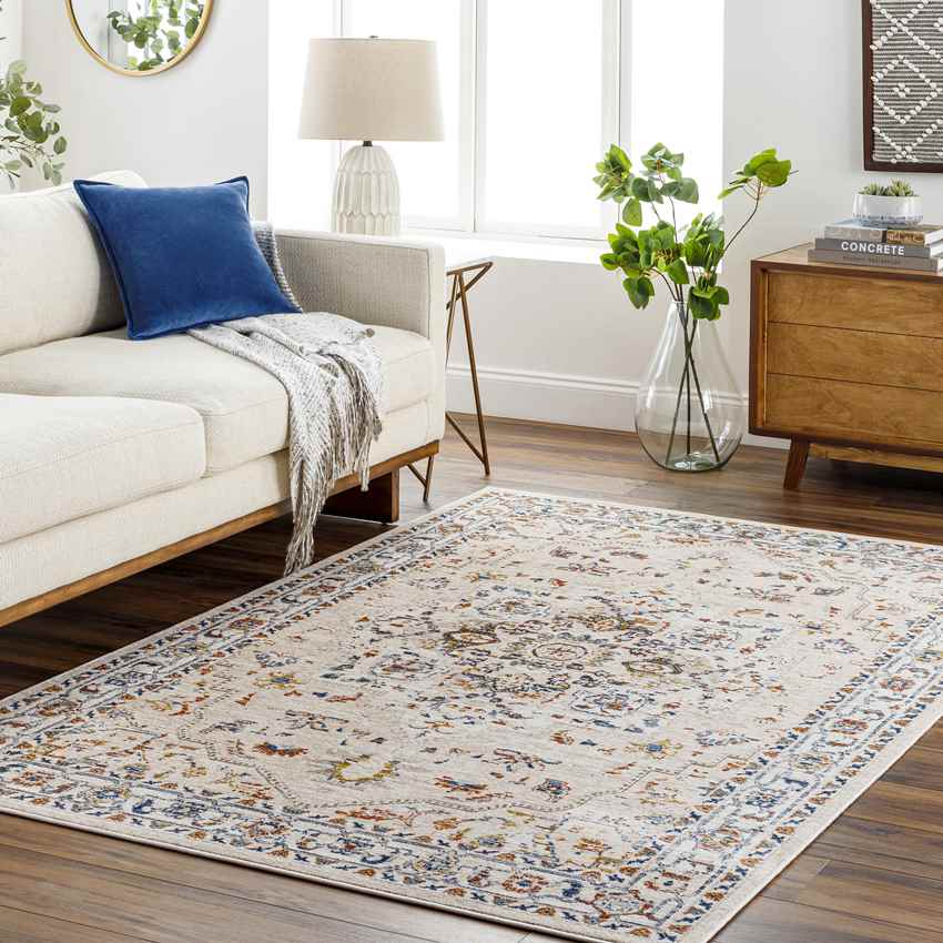 Asbury Traditional Light Orange Area Rug