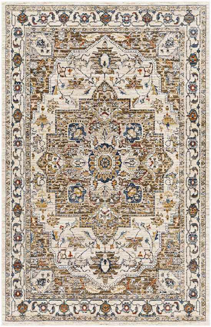 Asbury Traditional Brown Area Rug