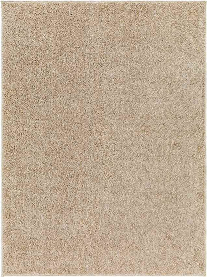 Richlawn Modern Brown Washable Area Rug
