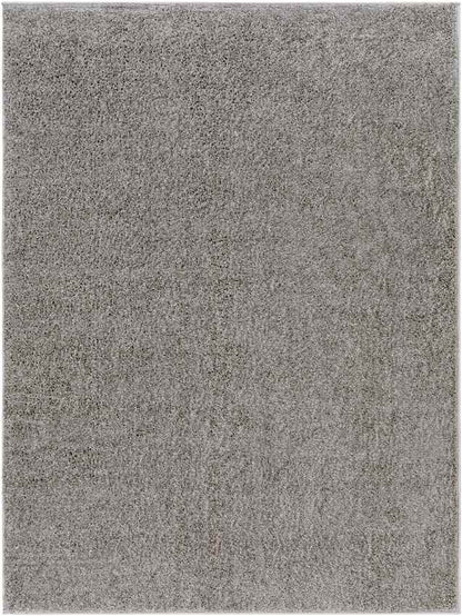 Richlawn Modern Charcoal Gray Washable Area Rug