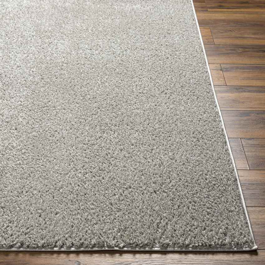 Richlawn Modern Medium Gray Washable Area Rug