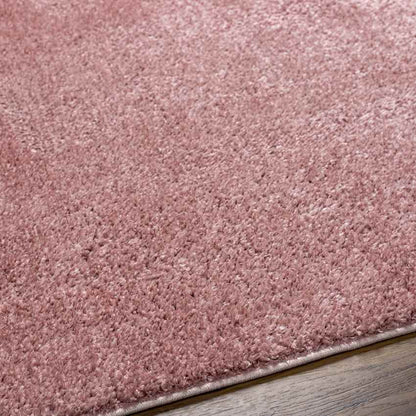 Richlawn Modern Coral Pink Washable Area Rug