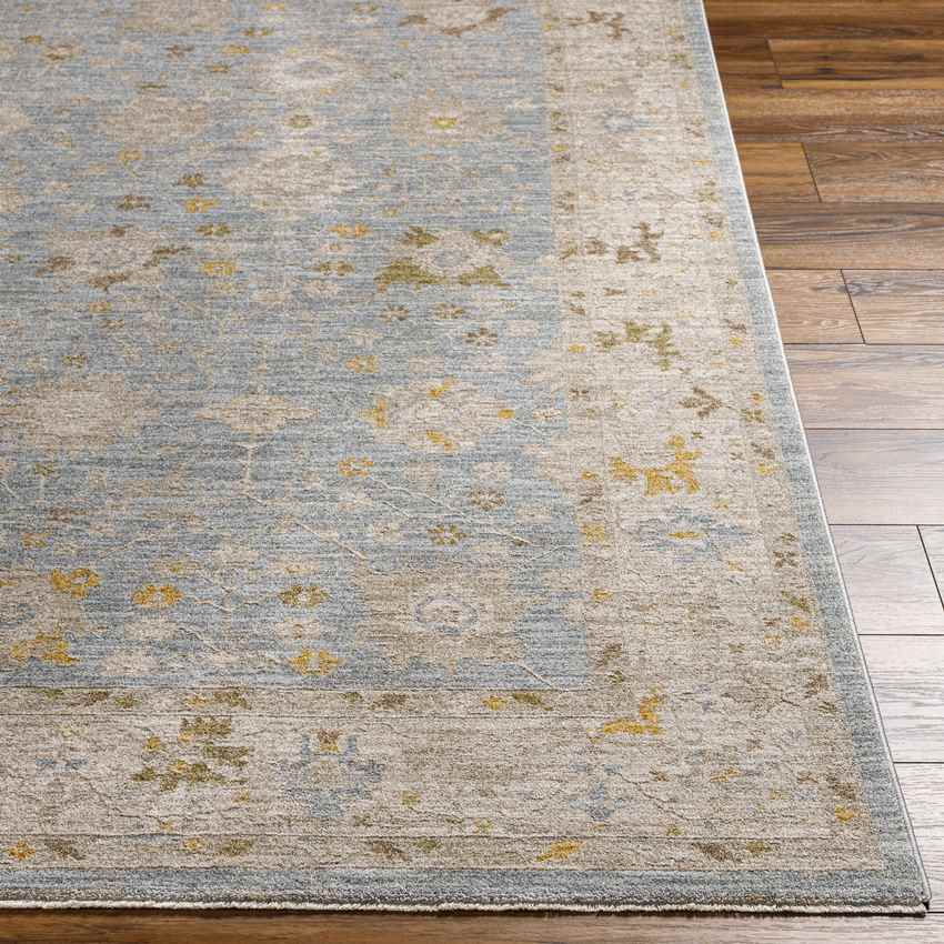 Atlantic Traditional Pale Blue Area Rug
