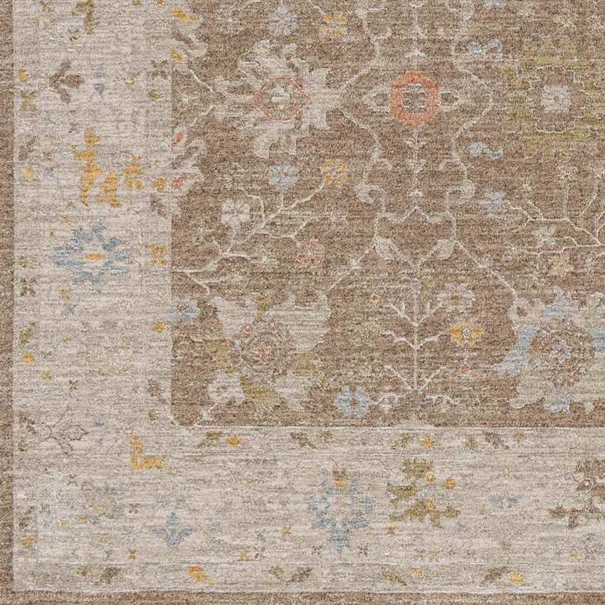 Atlantic Traditional Brown Area Rug
