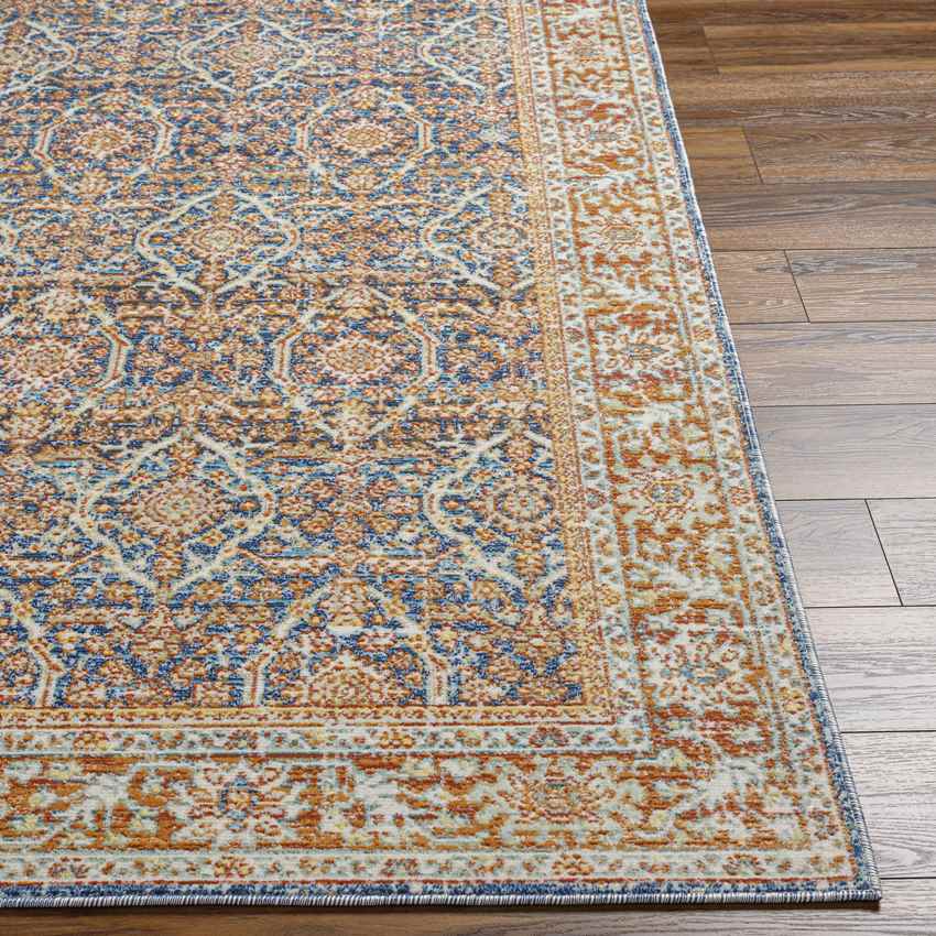 Rodman Coastal Orange Area Rug