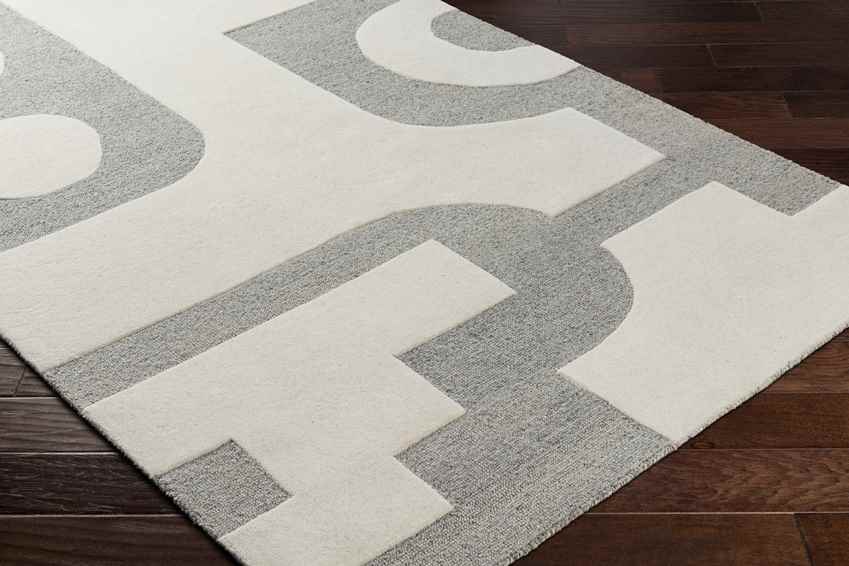 Guthrie Modern Light Gray/Beige Area Rug