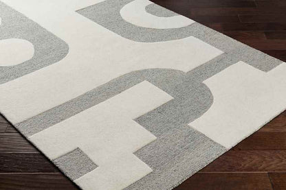 Guthrie Modern Light Gray/Beige Area Rug
