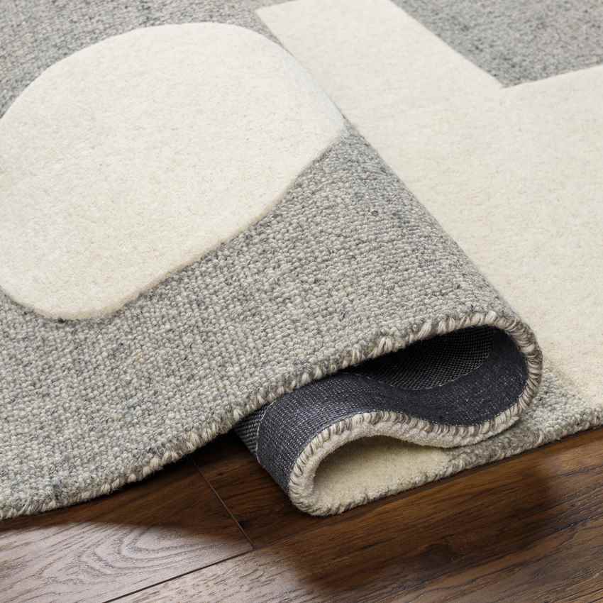 Guthrie Modern Light Gray/Beige Area Rug